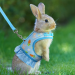 Harness